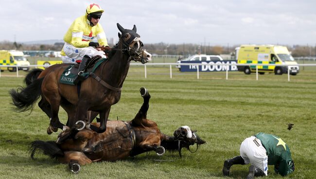 Скачки Crabbie's Grand National Festival, Великобритания