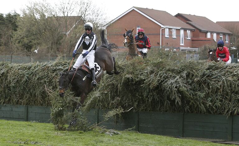 Скачки Crabbie's Grand National Festival, Великобритания