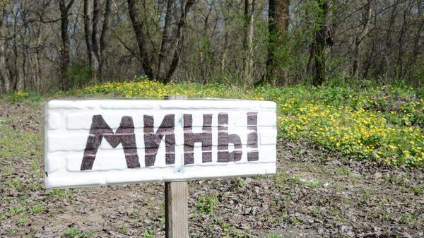 Указатель Мины близ линии разграничения в Донбассе. Архивное фото