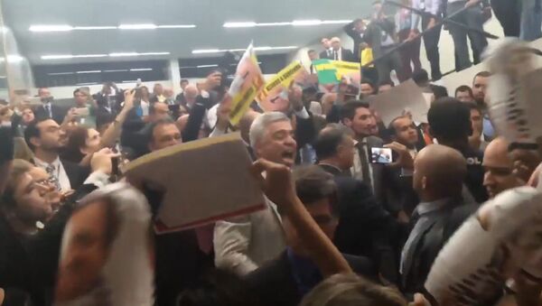 Сторонники президента Бразилии не давали пройти голосовавшим за ее импичмент