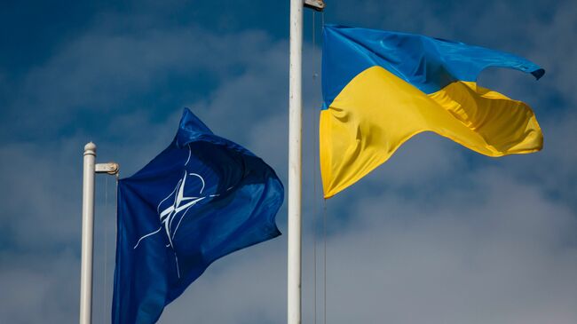 Национальный флаг Украины и флаг Организации Североатлантического договора (НАТО). Архивное фото