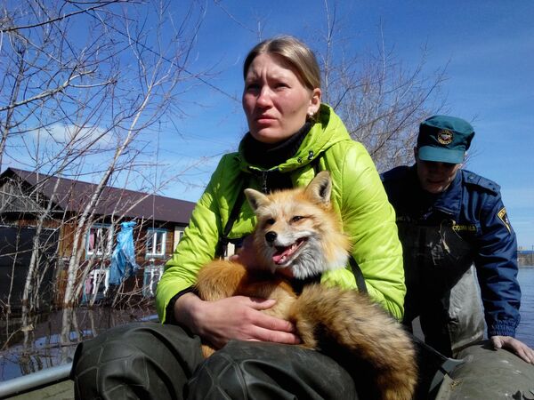 Эвакуация животных из подтопленного зоопарка Ноев Ковчег
