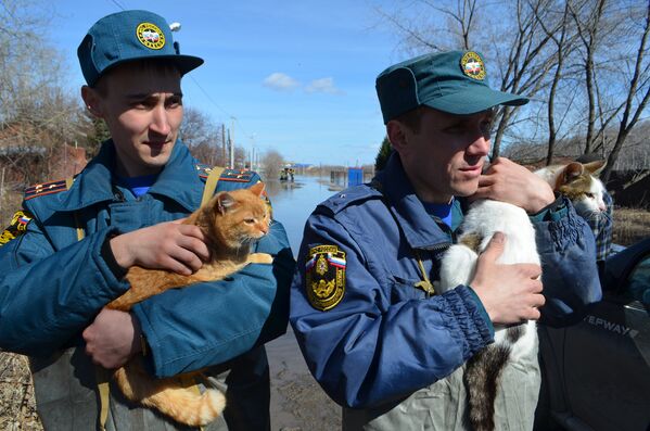 Эвакуация животных из подтопленного зоопарка Ноев Ковчег