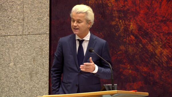 Нет значит нет – голландский политик об итогах референдума по Украине