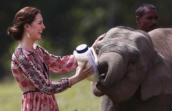 Герцогиня Кембриджская Кейт кормит слоненка в Центре реабилитации диких животных в Индии