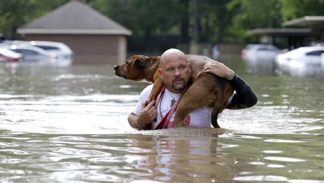 Хозяин спасет свою собаку во время наводнение в Хьюстоне
