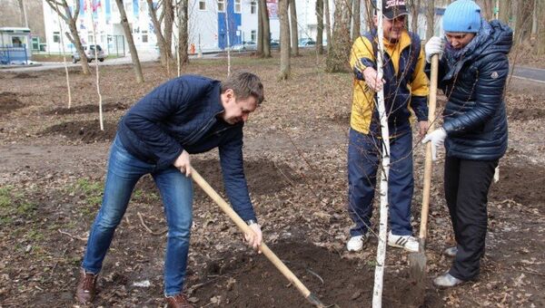 Около 200 деревьев высажены в тульском парке Рогожинский