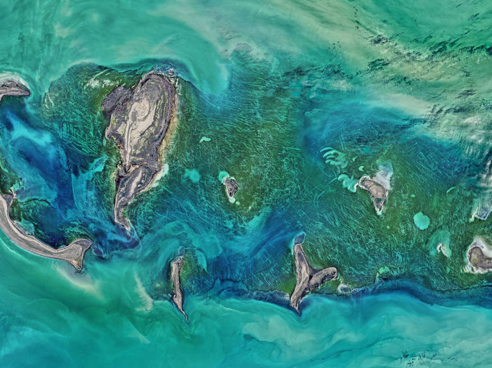 Тюленьи острова Каспийское море
