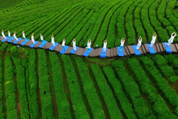 Занятия йогой на чайной плантации в провинции Хубэй, Китай