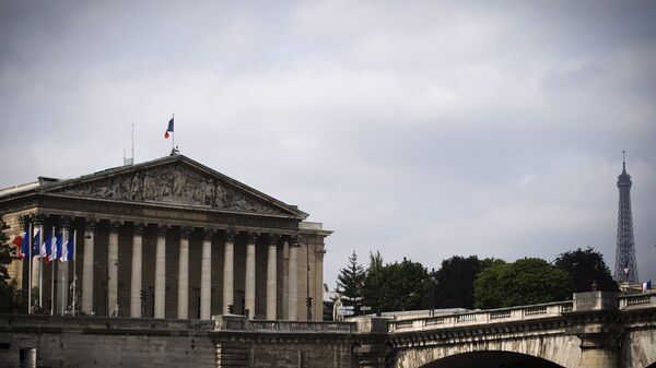 Бурбонский дворец - место заседаний Национальной ассамблеи Франции в Париже. Архивное фото