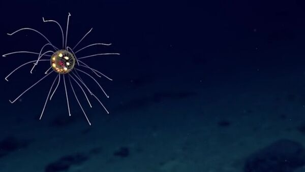 Фантастическое существо в морских глубинах