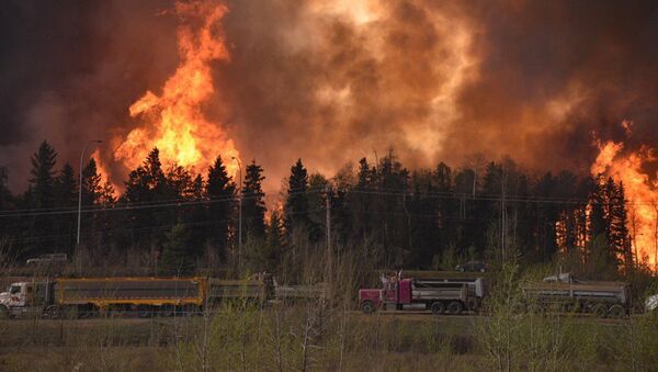 Крупные лесные пожары вспыхнули в канадской провинции Альберта