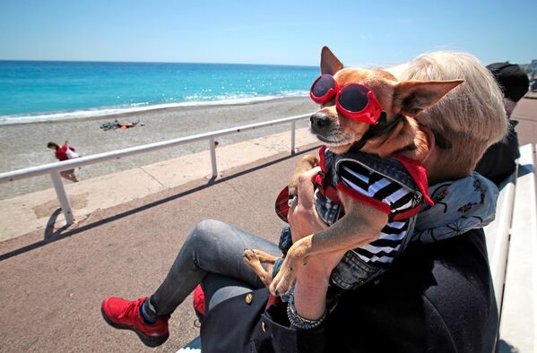 Женщина с собакой на набережной в Ницце