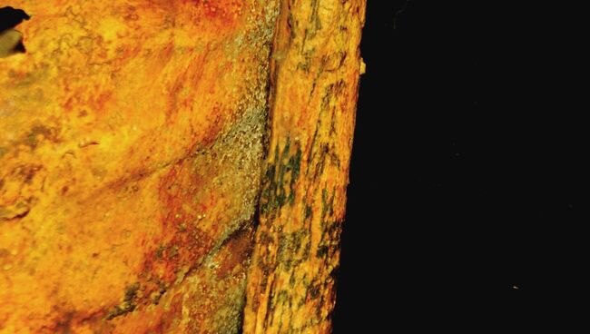 Татуировки на теле древнеегипетской жрицы богини Хатор Татуировки на теле древнеегипетской жрицы богини Хатор