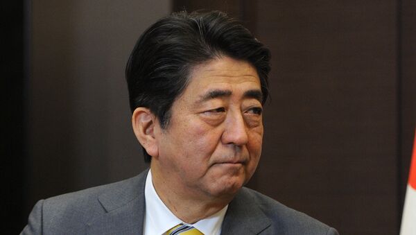 Премьер-министр Японии Синдзо Абэ , архивное фото