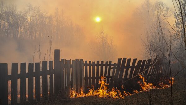 Лесные пожары в Амурской области. Архивное фото