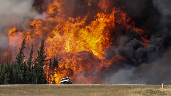 Лесной пожар в Канаде. Архивное фото