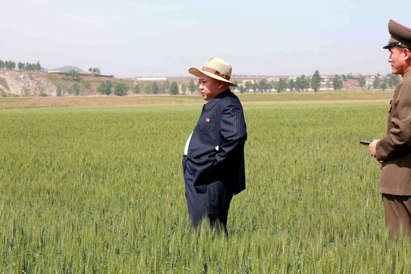 Северокорейский лидер Ким Чен Ын во время посещения фермы N1116