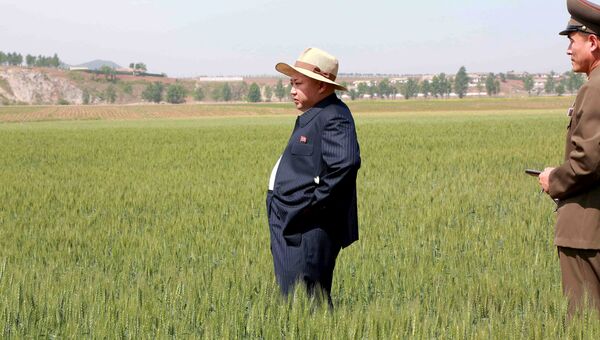 Северокорейский лидер Ким Чен Ын во время посещения фермы N1116