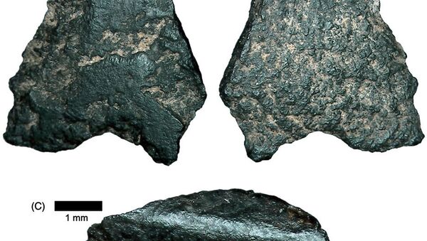 Продвинутый каменный топор, найденный в Австралии