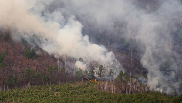 Лесной пожар в Свободненском районе Амурской области. Архивное фото