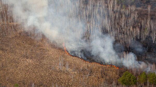 Лесной пожар в Амурской области