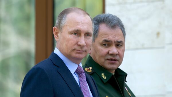 Президент РФ В. Путин и С. Шойгу. Архивное фото