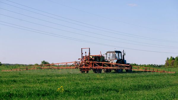 Трактор во время удобрения озимых зерновых культур в колхозе Тейковского района Ивановской области