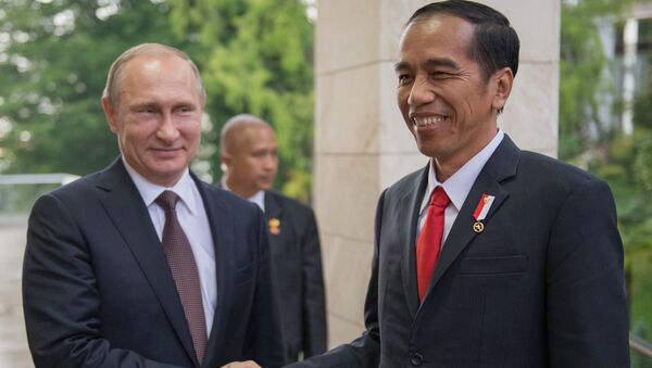 Беседа президента РФ В. Путина с президентом Индонезии Джоко Видодо в узком составе