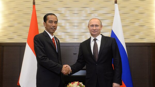 Президент Российской Федерации Владимир Путин и президент Республики Индонезии Джоко Видодо