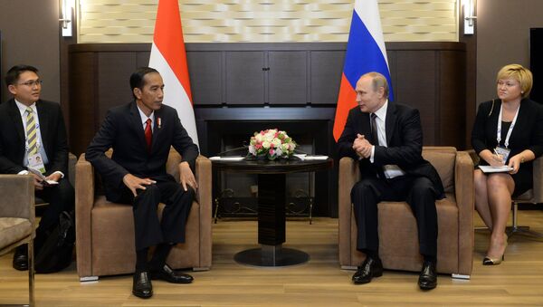 Президент Российской Федерации Владимир Путин и президент Республики Индонезии Джоко Видодо во время беседы в резиденции Бочаров ручей в Сочи