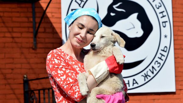 Сотрудница приюта держит на руках щенка в приюте для бездомных животных Надежда на жизнь в Грозном