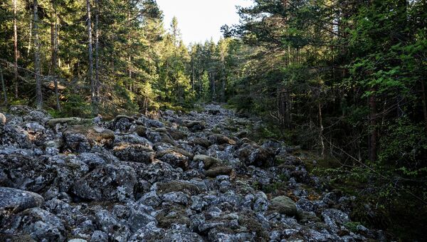 Каменная река на острове Гогланд в Финском заливе