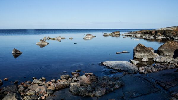 Остров в Финском заливе. Архивное фото
