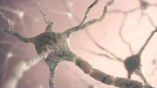 Нейрон мозга