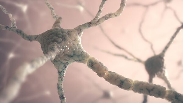 Нейрон головного мозга
