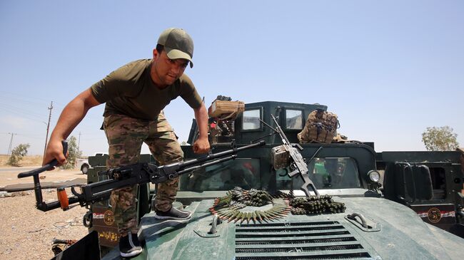 Военнослужащий армии Ирака в окрестностях города Эль-Фаллуджа, Ирак. 22 мая 2016