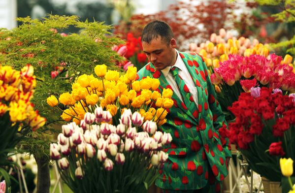 Ежегодное цветочное шоу в лондонском районе Челси