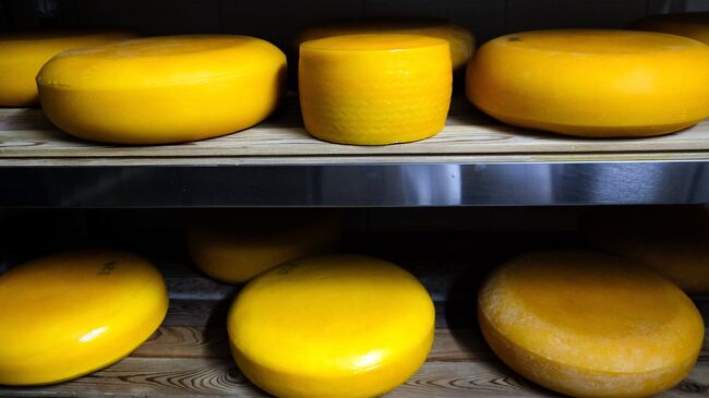 Производство сыра. Архивное фото