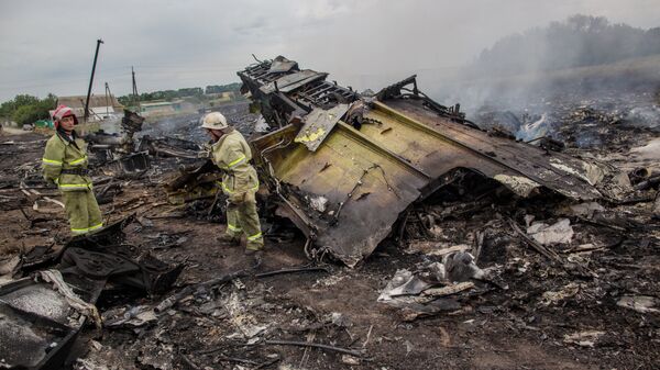 Спасатели работают на месте крушения малайзийского самолета Boeing 777 в районе города Шахтерск Донецкой области. 17 июля 2014 года 