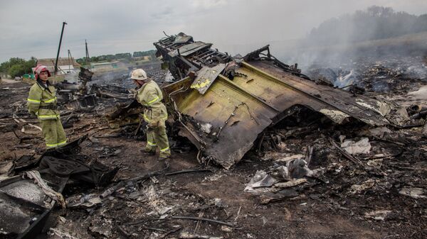 Спасатели работают на месте крушения малайзийского самолета Boeing 777 в районе города Шахтерск Донецкой области. 