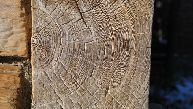 Церковь в Карпатах, построенная во времена вторжения монголов Церковь в Карпатах, построенная во времена вторжения монголов