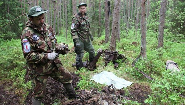 Поисковая группа РГО обнаружила остатки самолета Пе-2