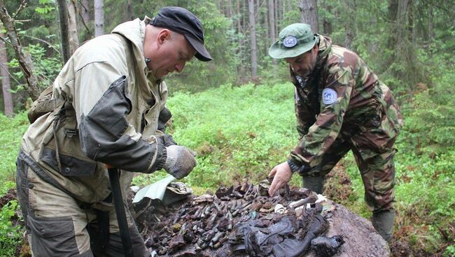 Поисковая группа РГО обнаружила обломки самолета Пе-2 на острове Большой Тютерс