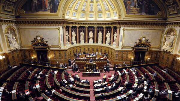 Заседание верхней палаты парламента Франции (Сената). Архивное фото