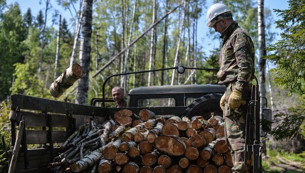 Волонтеры комплексной экспедиции РГО Гогланд заготавливают дрова для пограничной военной части, расквартированной на острове Гогланд