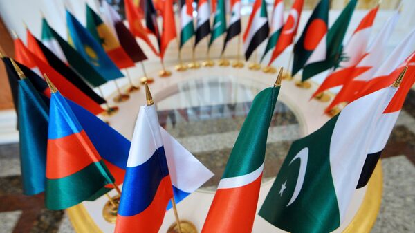 Флаги стран-участниц заседания группы стратегического видения Россия - Исламский мир в Казани