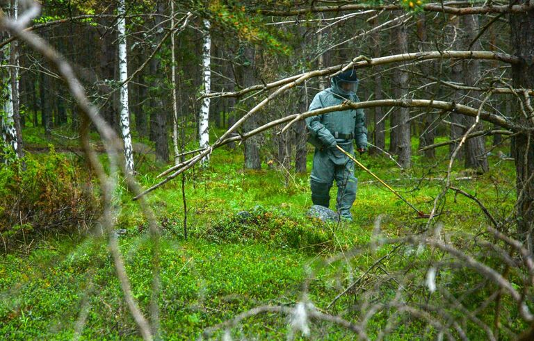 Саперы обезвреживают артиллерийские снаряды, найденные неподалеку от лагеря волонтеров Русского географического общества Гогланд