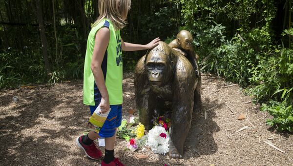 Мальчик у скульптуры гориллы в зоопарке Цинциннати, США. 29 мая 2016