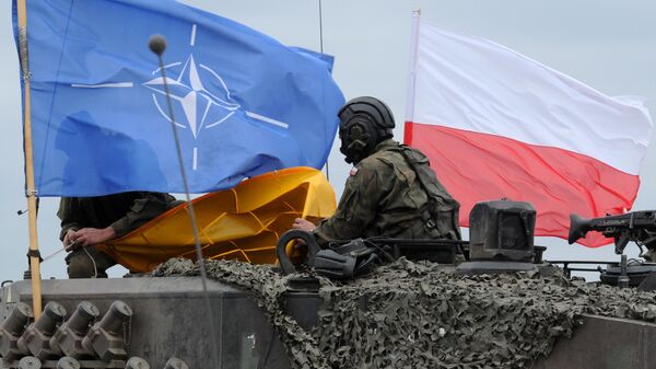 Флаги НАТО и Польши. Архивное фото